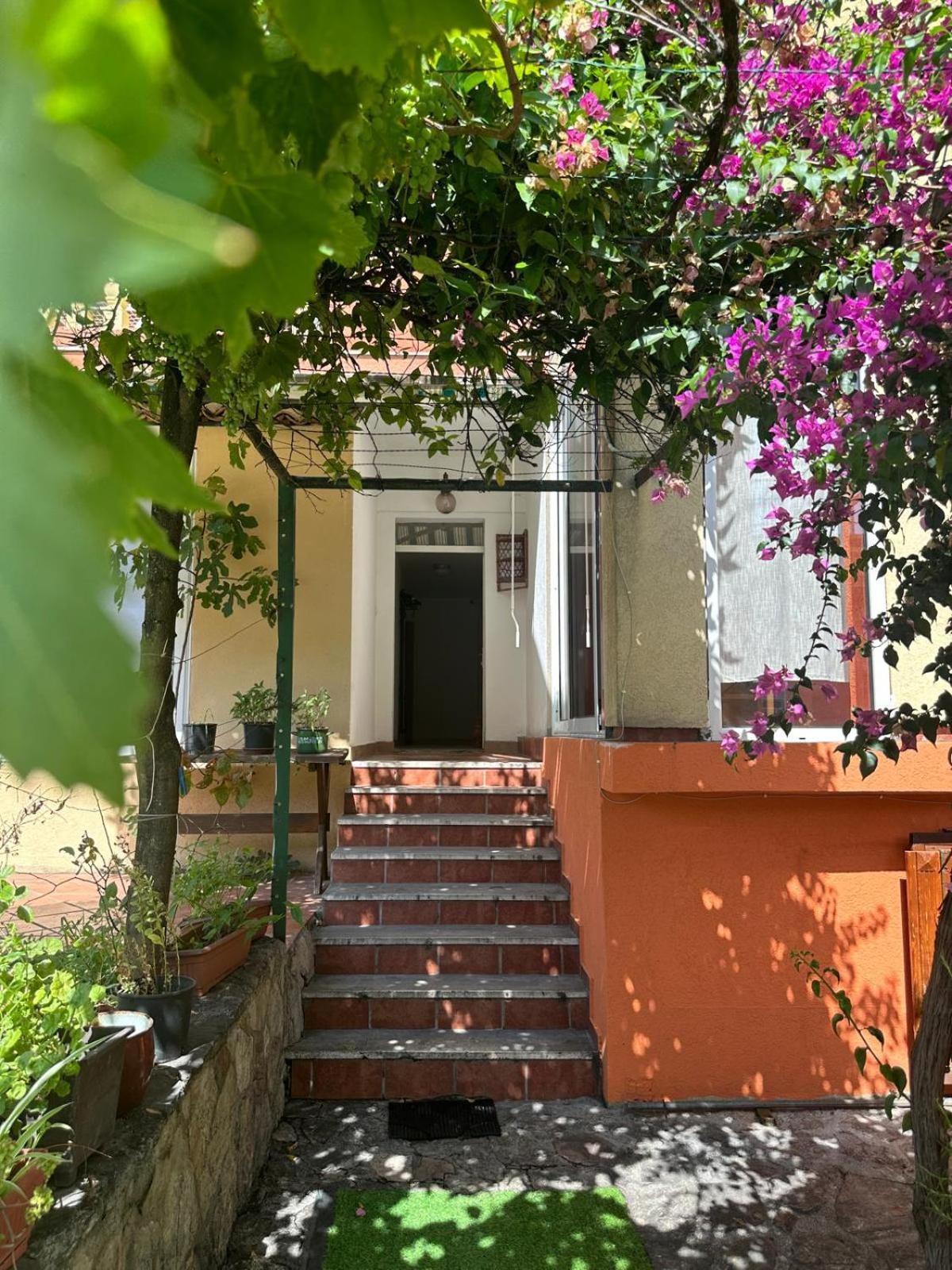 Themis Apart Hotel Kotor Exterior foto